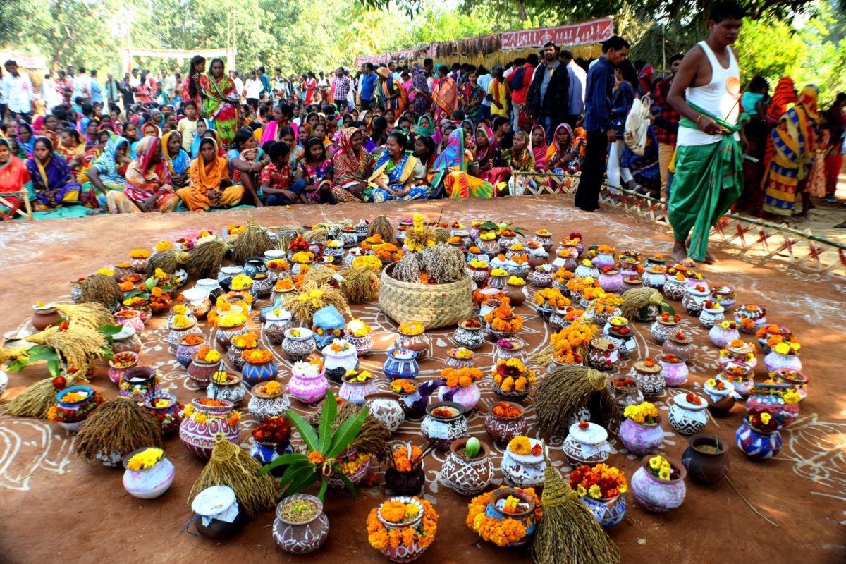 Return of indigenous crops helps reduce farm distress and restore